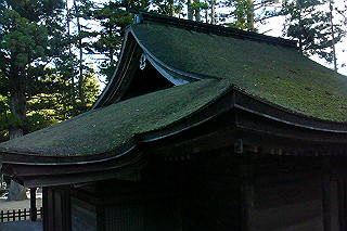 dsc06137_thumb.jpg
