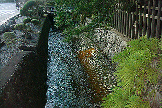 dsc06147_thumb.jpg