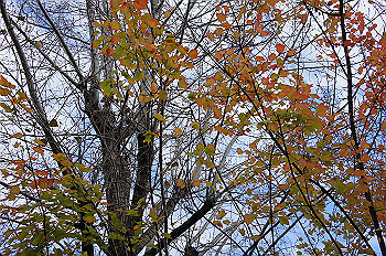 dsc00006_thumb.jpg