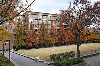 dsc00010_thumb.jpg