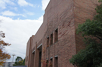 dsc00011_thumb.jpg