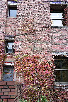 dsc00013_thumb.jpg