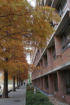 dsc00020_thumb.jpg