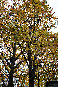 dsc00025_thumb.jpg