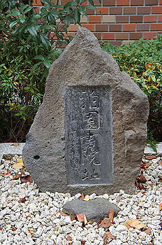 dsc00031_thumb.jpg