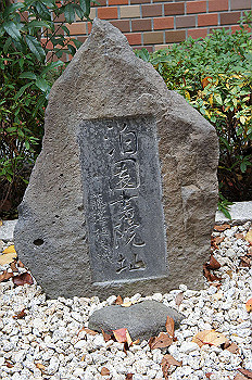 dsc00032_thumb.jpg
