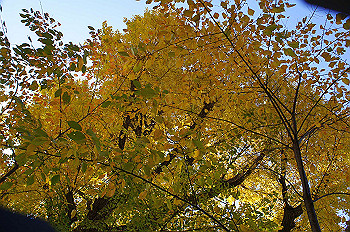 dsc00038_thumb.jpg