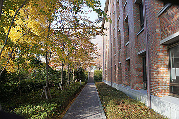 dsc00039_thumb.jpg