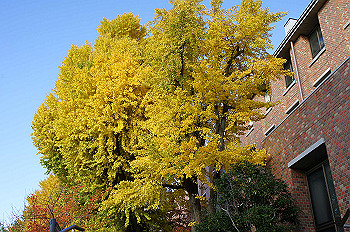 dsc00042_thumb.jpg