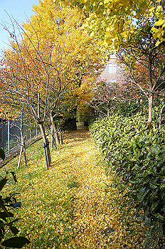 dsc00045_thumb.jpg