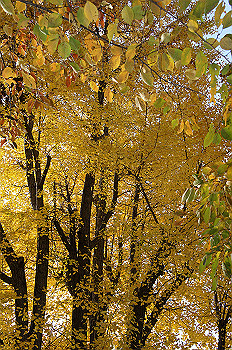 dsc00050_thumb.jpg