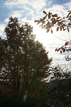 dsc00053_thumb.jpg