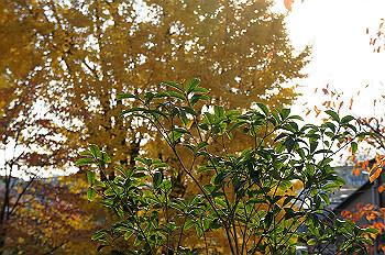 dsc00054_thumb.jpg