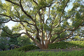 dsc00066_thumb.jpg
