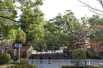 dsc00084_thumb.jpg