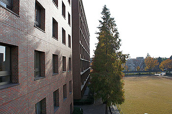 dsc00085_thumb.jpg