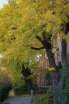 dsc00093_thumb.jpg