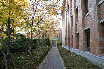 dsc00094_thumb.jpg