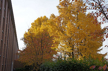 dsc00096_thumb.jpg