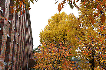 dsc00103_thumb.jpg