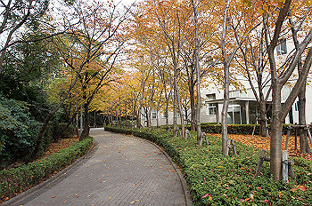 dsc00112_thumb.jpg