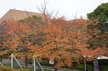 dsc00116_thumb.jpg