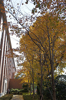 dsc00130_thumb.jpg