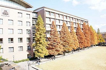 dsc00136_thumb.jpg