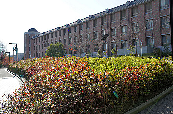 dsc00146_thumb.jpg