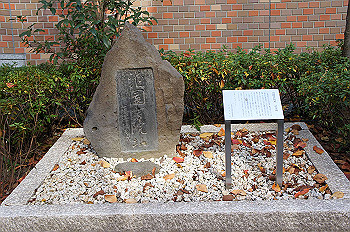 dsc00151_thumb.jpg