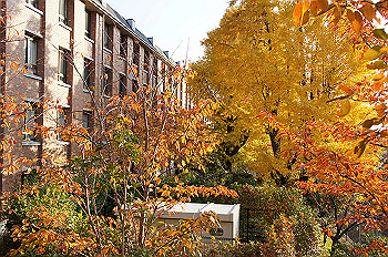 dsc00164_thumb.jpg