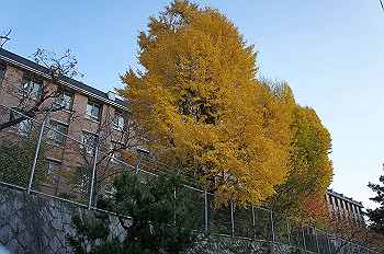 dsc00175_thumb.jpg