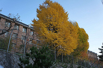 dsc00176_thumb.jpg