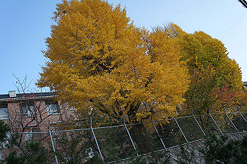 dsc00178_thumb.jpg