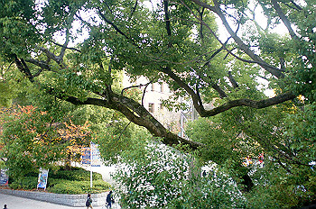 dsc00199_thumb.jpg