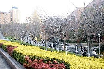 dsc00202_thumb.jpg