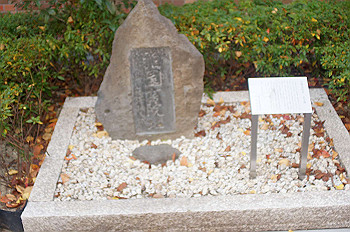 dsc00207_thumb.jpg