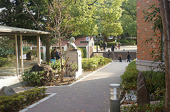dsc00209_thumb.jpg