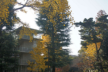 dsc00215_thumb.jpg