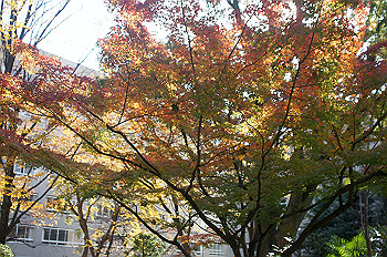 dsc00216_thumb.jpg