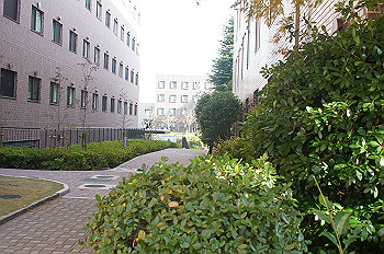 dsc00223_thumb.jpg