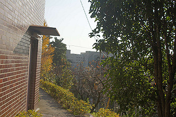 dsc00224_thumb.jpg