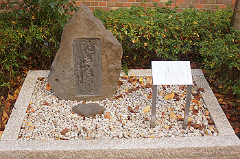 dsc00229_thumb.jpg