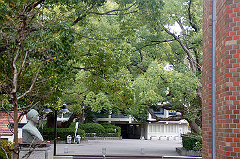 dsc00284_thumb.jpg