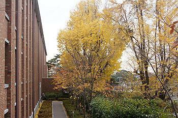 dsc00285_thumb.jpg