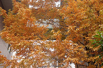 dsc00291_thumb.jpg