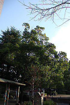 dsc06160_thumb.jpg