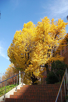 dsc06161_thumb.jpg