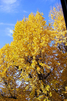 dsc06163_thumb.jpg