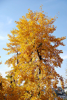 dsc06164_thumb.jpg